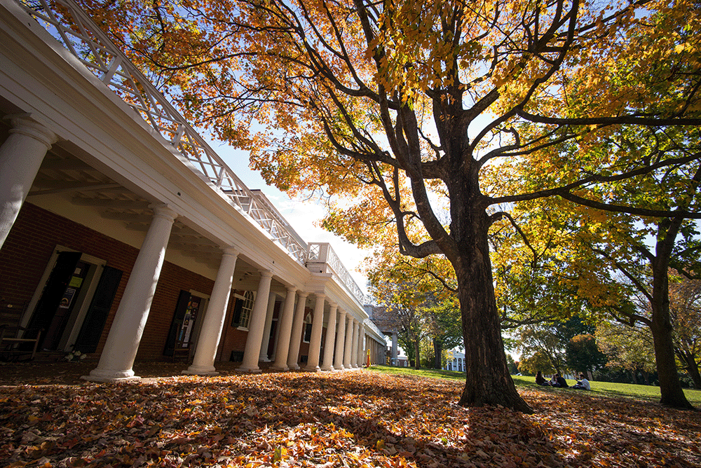 Fall on UVA Grounds